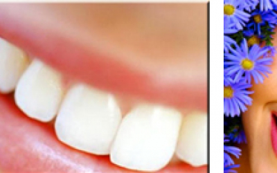 Do que são feitos os Dentes?